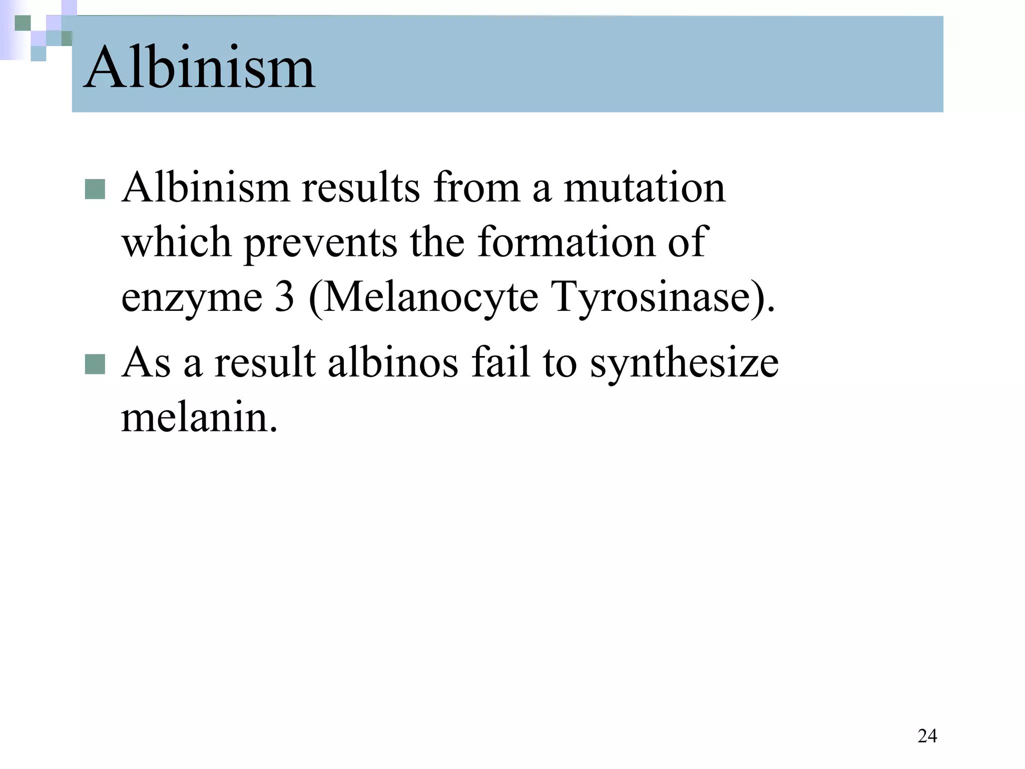 Albinism
 Albinism results from a mutation
which prevents the formation of
enzyme 3 (Melanocyte Tyrosinase).
 As a result albinos fail to synthesize
melanin.
24
 