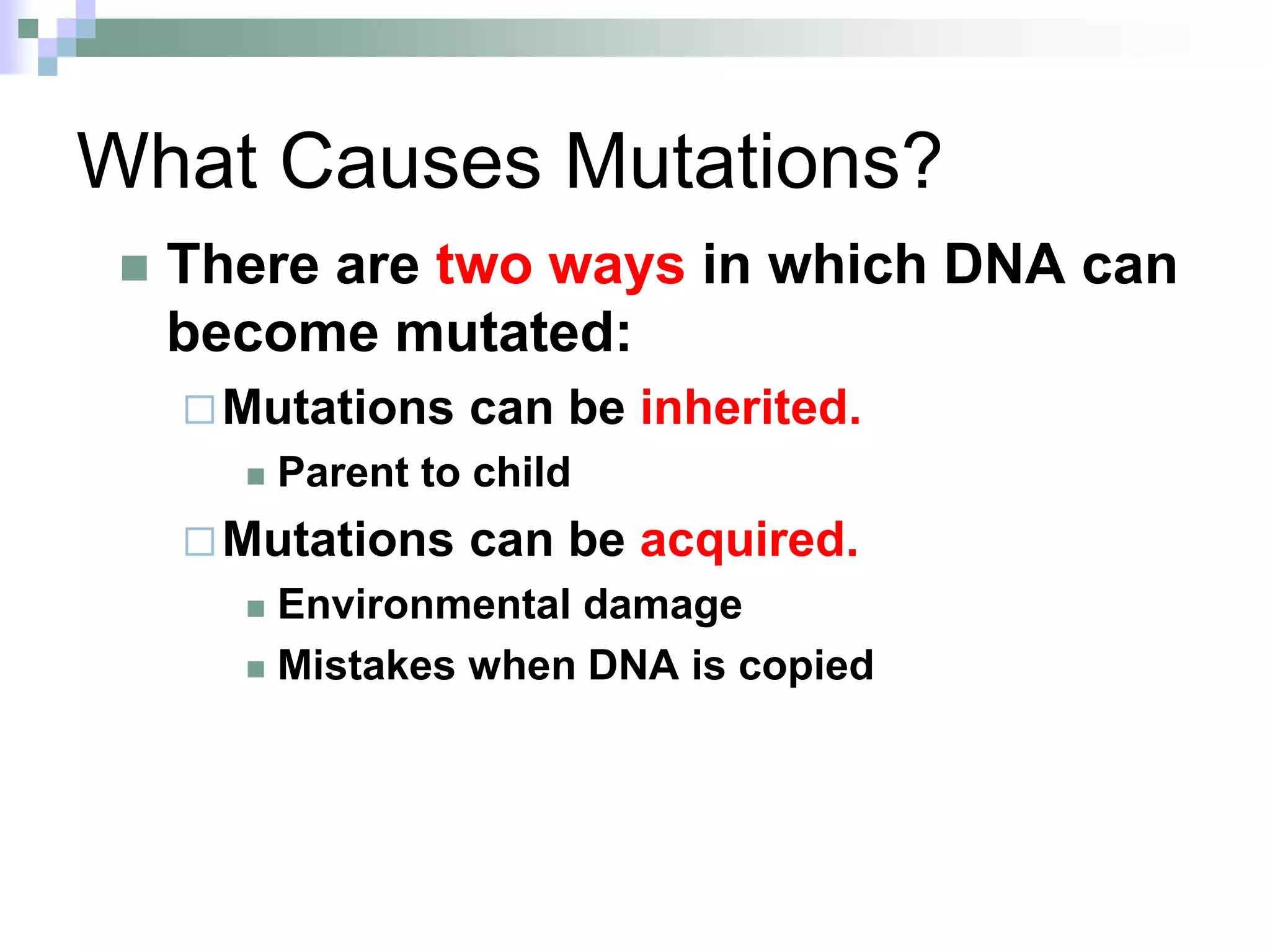 What Causes Mutations?
 There are two ways in which DNA can
become mutated:
Mutations can be inherited.
 Parent to child
Mutations can be acquired.
 Environmental damage
 Mistakes when DNA is copied
 