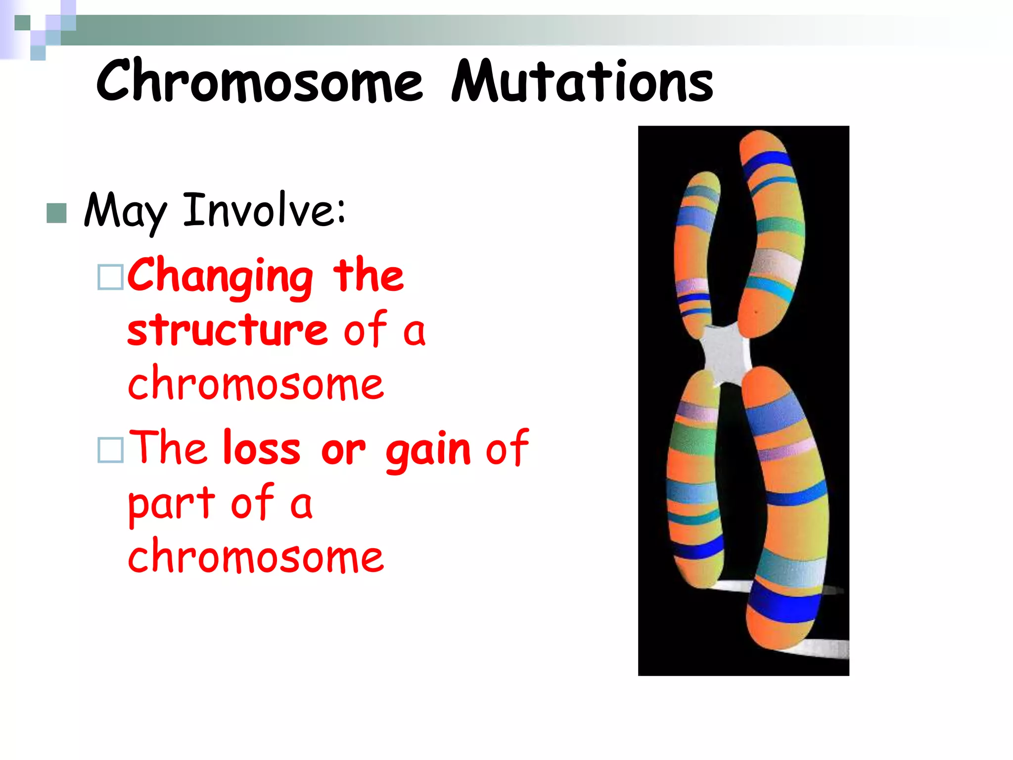 Chromosome Mutations
 May Involve:
Changing the
structure of a
chromosome
The loss or gain of
part of a
chromosome
 