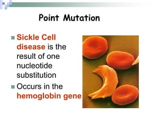 Point Mutation
 Sickle Cell
disease is the
result of one
nucleotide
substitution
 Occurs in the
hemoglobin gene
 