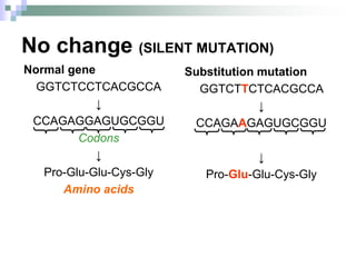 No change (SILENT MUTATION)
Normal gene
GGTCTCCTCACGCCA
↓
CCAGAGGAGUGCGGU
Codons
↓
Pro-Glu-Glu-Cys-Gly
Amino acids
Substitution mutation
GGTCTTCTCACGCCA
↓
CCAGAAGAGUGCGGU
↓
Pro-Glu-Glu-Cys-Gly
 