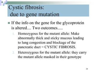 Cystic fibrosis:
due to gene mutation
 If the info on the gene for the glycoprotein
is altered.... Two outcomes.....
1. Homozygous for the mutant allele: Make
abnormally thick and sticky mucous leading
to lung congestion and blockage of the
pancreatic duct = CYSTIC FIBROSIS.
2. Heterozygous for the mutant allele: they carry
the mutant allele masked in their genotype
28
 