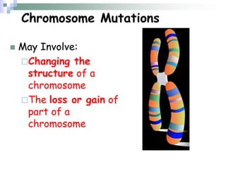 Chromosome Mutations
 May Involve:
Changing the
structure of a
chromosome
The loss or gain of
part of a
chromosome
 