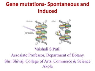 Gene mutations- Spontaneous and
Induced
Vaishali S.Patil
Assosiate Professor, Department of Botany
Shri Shivaji College of Arts, Commerce & Science
Akola
 