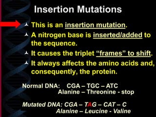 Insertion Mutations
Mutated DNA: CGA – TAG – CAT – C
Alanine – Leucine - Valine
 This is an insertion mutation.
 A nitrogen base is inserted/added to
the sequence.
 It causes the triplet “frames” to shift.
 It always affects the amino acids and,
consequently, the protein.
Normal DNA: CGA – TGC – ATC
Alanine – Threonine - stop
 