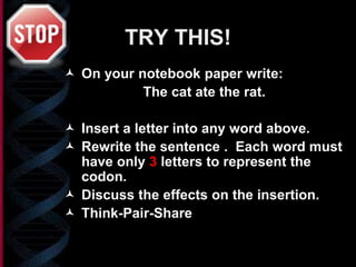 TRY THIS!
 On your notebook paper write:
The cat ate the rat.
 Insert a letter into any word above.
 Rewrite the sentence . Each word must
have only 3 letters to represent the
codon.
 Discuss the effects on the insertion.
 Think-Pair-Share
 