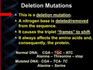 Deletion Mutations
 This is a deletion mutation.
 A nitrogen base is deleted/removed
from the sequence.
 It causes the triplet “frames” to shift.
 It always affects the amino acids and,
consequently, the protein.
Mutated DNA: CGA – TCA- TC
Alanine – Threonine – stop
Alanine – Serine
Normal DNA: CGA – TGC – ATC
 