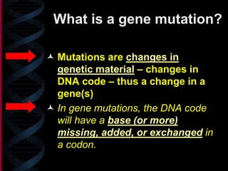 What is a gene mutation?
 Mutations are changes in
genetic material – changes in
DNA code – thus a change in a
gene(s)
 In gene mutations, the DNA code
will have a base (or more)
missing, added, or exchanged in
a codon.
 
