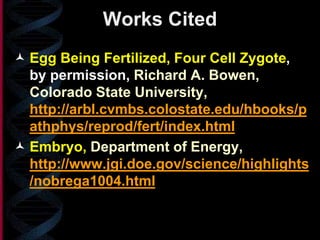 Works Cited
 Egg Being Fertilized, Four Cell Zygote,
by permission, Richard A. Bowen,
Colorado State University,
http://arbl.cvmbs.colostate.edu/hbooks/p
athphys/reprod/fert/index.html
 Embryo, Department of Energy,
http://www.jgi.doe.gov/science/highlights
/nobrega1004.html
 