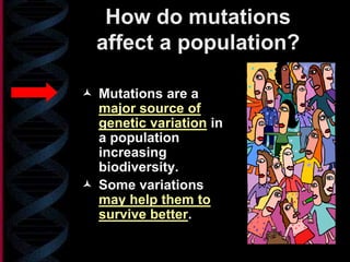  Mutations are a
major source of
genetic variation in
a population
increasing
biodiversity.
 Some variations
may help them to
survive better.
How do mutations
affect a population?
 
