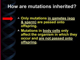  Only mutations in gametes (egg
& sperm) are passed onto
offspring.
 Mutations in body cells only
affect the organism in which they
occur and are not passed onto
offspring.
How are mutations inherited?
 