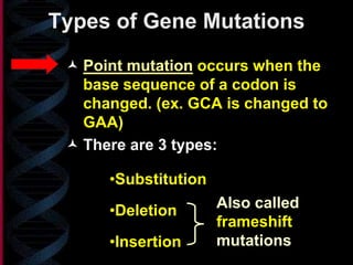 Types of Gene Mutations
 Point mutation occurs when the
base sequence of a codon is
changed. (ex. GCA is changed to
GAA)
 There are 3 types:
Also called
frameshift
mutations
•Substitution
•Deletion
•Insertion
 