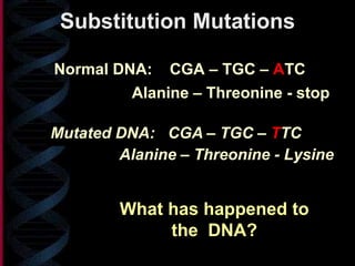 What will happen to
the amino acids?
Normal DNA: CGA – TGC – ATC
Substitution Mutations
Mutated DNA: CGA – TGC – TTC
Alanine – Threonine - stop
Alanine – Threonine - Lysine
This is a substitution
mutation
The adenine was
replaced with thymine
What has happened to
the DNA?
 