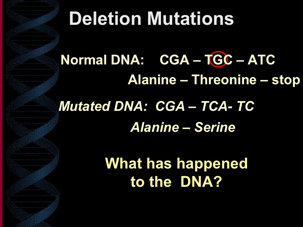 Gene mutations ppt