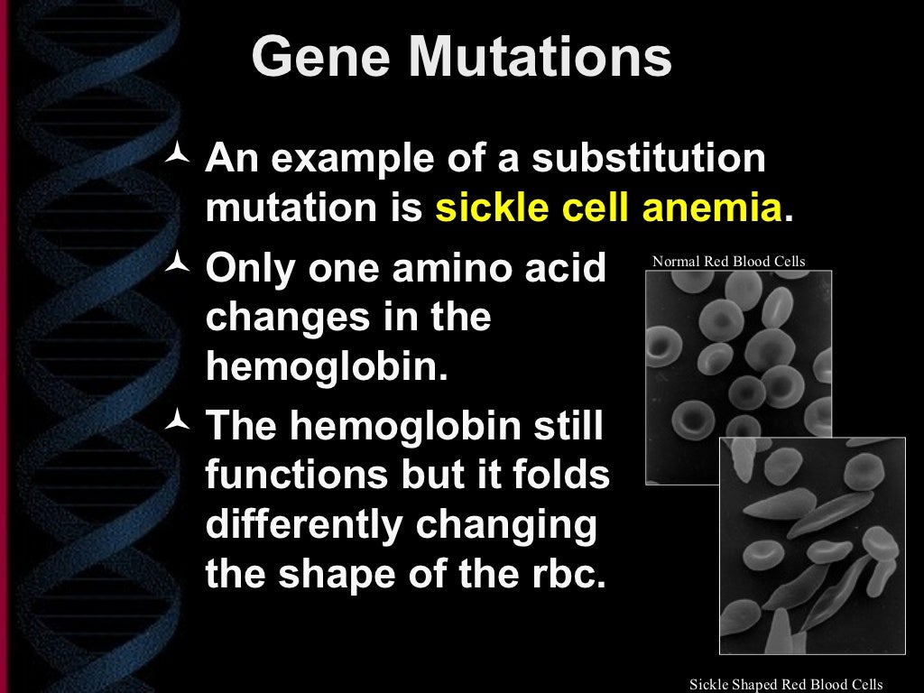 Gene mutations ppt