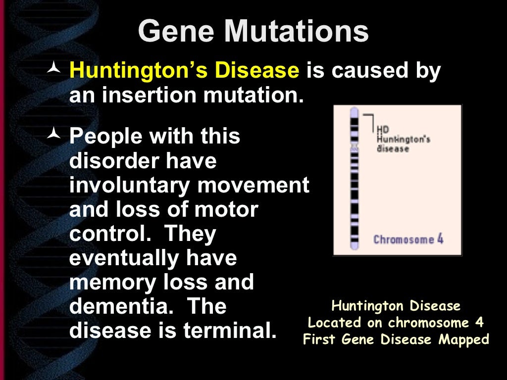 gene-mutations-ppt