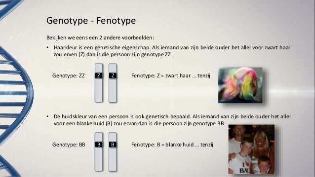 Genen genotype fenotype en karyogram