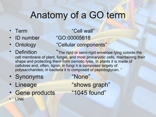Anatomy of a GO term
• Term “Cell wall”
• ID number “GO:00005618
• Ontology “Cellular components”
• Definition “The rigid ...