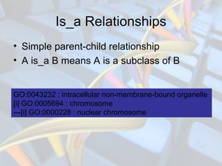 Is_a Relationships
• Simple parent-child relationship
• A is_a B means A is a subclass of B
GO:0043232 : intracellular non...