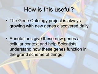 How is this useful?
• The Gene Ontology project is always
growing with new genes discovered daily
• Annotations give these...