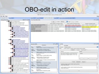 OBO-edit in action
 