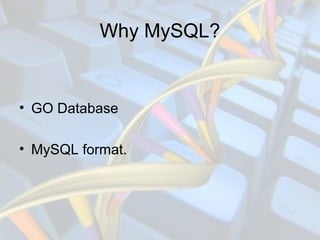• GO Database
• MySQL format.
Why MySQL?
 