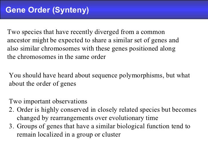 cell polarity 1 biological