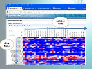 Samples
Name
Gene
Name
 