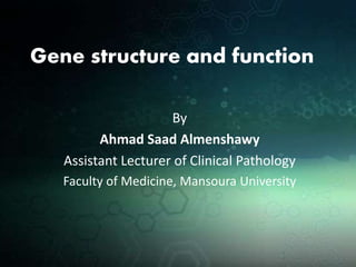 Gene structure and function
By
Ahmad Saad Almenshawy
Assistant Lecturer of Clinical Pathology
Faculty of Medicine, Mansoura University
 