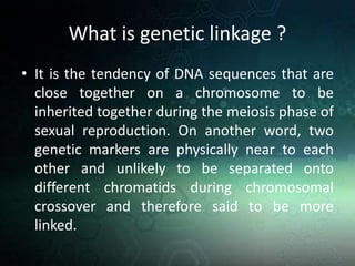 Gene structure and function | PPTX