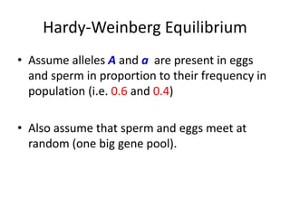 Hardy-Weinberg Equilibrium
• Assume alleles A and a are present in eggs
and sperm in proportion to their frequency in
population (i.e. 0.6 and 0.4)
• Also assume that sperm and eggs meet at
random (one big gene pool).
 