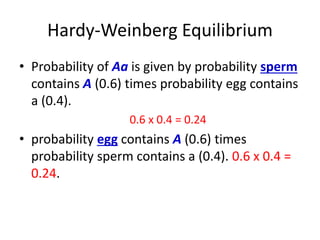 Hardy-Weinberg Equilibrium
• Probability of Aa is given by probability sperm
contains A (0.6) times probability egg contains
a (0.4).
0.6 x 0.4 = 0.24
• probability egg contains A (0.6) times
probability sperm contains a (0.4). 0.6 x 0.4 =
0.24.
 