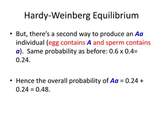 Hardy-Weinberg Equilibrium
• But, there’s a second way to produce an Aa
individual (egg contains A and sperm contains
a). Same probability as before: 0.6 x 0.4=
0.24.
• Hence the overall probability of Aa = 0.24 +
0.24 = 0.48.
 