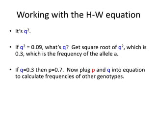 Working with the H-W equation
• It’s q2.
• If q2 = 0.09, what’s q? Get square root of q2, which is
0.3, which is the frequency of the allele a.
• If q=0.3 then p=0.7. Now plug p and q into equation
to calculate frequencies of other genotypes.
 