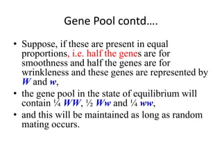 Gene Pool contd….
• Suppose, if these are present in equal
proportions, i.e. half the genes are for
smoothness and half the genes are for
wrinkleness and these genes are represented by
W and w,
• the gene pool in the state of equilibrium will
contain ¼ WW, ½ Ww and ¼ ww,
• and this will be maintained as long as random
mating occurs.
 