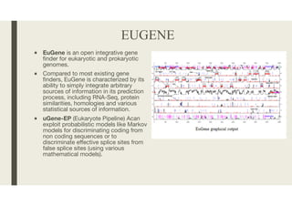Gene prediction strategies | PDF