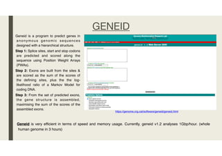 Geneid Lab Gene prediction strategies | PDF