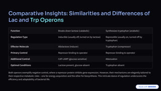 Comparative Insights: Similarities and Differences of
Lac and Trp Operons
Function Breaks down lactose (catabolic) Synthesizes tryptophan (anabolic)
Regulation Type Inducible (usually off, turned on by lactose) Repressible (usually on, turned off by
tryptophan)
Effector Molecule Allolactose (inducer) Tryptophan (corepressor)
Primary Control Repressor binding to operator Repressor binding to operator
Additional Control CAP-cAMP (glucose sensitive) Attenuation
Optimal Conditions Lactose present, glucose absent Tryptophan absent
Both operons exemplify negative control, where a repressor protein inhibits gene expression. However, their mechanisms are elegantly tailored to
their respective metabolic roles 2 one for energy acquisition and the other for biosynthesis. This intricate dance of regulation underscores the
efficiency and adaptability of bacterial life.
 