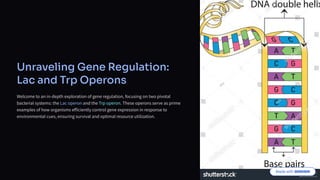 Unraveling Gene Regulation:
Lac and Trp Operons
Welcome to an in-depth exploration of gene regulation, focusing on two pivotal
bacterial systems: the Lac operon and the Trp operon. These operons serve as prime
examples of how organisms efficiently control gene expression in response to
environmental cues, ensuring survival and optimal resource utilization.
 