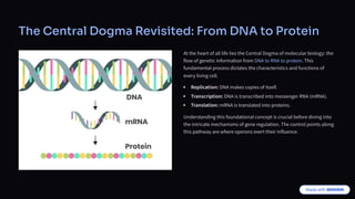 The Central Dogma Revisited: From DNA to Protein
At the heart of all life lies the Central Dogma of molecular biology: the
flow of genetic information from DNA to RNA to protein. This
fundamental process dictates the characteristics and functions of
every living cell.
Replication: DNA makes copies of itself.
Transcription: DNA is transcribed into messenger RNA (mRNA).
Translation: mRNA is translated into proteins.
Understanding this foundational concept is crucial before diving into
the intricate mechanisms of gene regulation. The control points along
this pathway are where operons exert their influence.
 