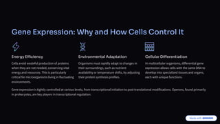 Gene Expression: Why and How Cells Control It
Energy Efficiency
Cells avoid wasteful production of proteins
when they are not needed, conserving vital
energy and resources. This is particularly
critical for microorganisms living in fluctuating
environments.
Environmental Adaptation
Organisms must rapidly adapt to changes in
their surroundings, such as nutrient
availability or temperature shifts, by adjusting
their protein synthesis profiles.
Cellular Differentiation
In multicellular organisms, differential gene
expression allows cells with the same DNA to
develop into specialized tissues and organs,
each with unique functions.
Gene expression is tightly controlled at various levels, from transcriptional initiation to post-translational modifications. Operons, found primarily
in prokaryotes, are key players in transcriptional regulation.
 