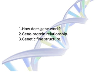1.How does gene work?
2.Gene-protein relationship.
3.Genetic fine structure.

 