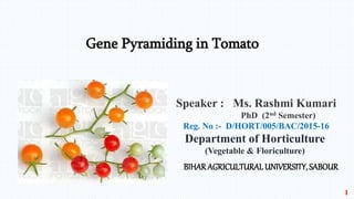 Gene Pyramiding in Tomato
Speaker : Ms. Rashmi Kumari
PhD (2nd Semester)
Reg. No :- D/HORT/005/BAC/2015-16
Department of Horticulture
(Vegetable & Floriculture)
BIHAR AGRICULTURALUNIVERSITY, SABOUR
1
 