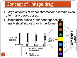 Concept of ‘linkage drag’
 Large amounts of donor chromosome remain even
after many backcrosses.
 Undesirable due to other donor genes that
negatively affect agronomic performance.
Donor/F1 BC1
c
BC3 BC10
RECURRENT PARENT
CHROMOSOME
DONOR
CHROMOSOME
TARGET
LOCUS
LINKEDDONOR
GENES
TARGET
LOCUS
16
 
