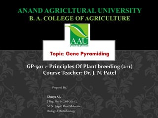 ANAND AGRICLTURAL UNIVERSITY
B. A. COLLEGE OF AGRICULTURE
Topic: Gene Pyramiding
GP-501 :- Principles Of Plant breeding (2+1)
Course Teacher: Dr. J. N. Patel
Prepared By,
Dhanya A J,
[ Reg. No: 04-2348-2014 ],
M. Sc. (Agri) Plant Molecular -
Biology & Biotechnology
 