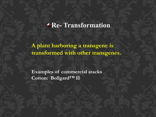 Re- Transformation
Examples of commercial stacks
Cotton: Bollgard™ II
A plant harboring a transgene is
transformed with other transgenes.
 