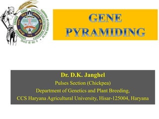 Dr. D.K. Janghel
Pulses Section (Chickpea)
Department of Genetics and Plant Breeding,
CCS Haryana Agricultural University, Hisar-125004, Haryana
 