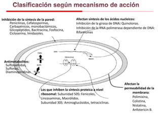 Inhibición de la síntesis de la pared:
Penicilinas, Cefalosporinas,
Carbapénicos, monobactámicos,
Glicopéptidos, Bacitracina, Fosfocina,
Cicloserina, Imidazoles.
Afectan la
permeabilidad de la
membrana:
Polimixina,
Colistina,
Nistatina,
Anfotericin B.
Los que inhiben la síntesis proteica a nivel
ribosomal: Subunidad 50S: Fenicoles,
Lincosaminas, Macrólidos.
Subunidad 30S: Aminoglucósidos, tetraciclinas.
Afectan síntesis de los ácidos nucleicos:
Inhibición de la girasa de DNA: Quinolonas.
Inhibición de la RNA polimerasa dependiente de DNA:
Rifamicinas
Antimetabolitos:
Sulfonamidas,
Sulfonas,
Diaminopiridinas
 