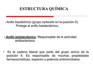- Anillo tiazolidínico (grupo carboxilo en la posición 5)
Protege al anillo betalactámico.
- Anillo betalactámico. Responsable de la actividad
antibacteriana.
• Es la cadena lateral que parte del grupo amino de la
posición 6. Es responsable de muchas propiedades
farmacocinéticas, espectro y potencia antimicrobiana.
ESTRUCTURA QUÍMICA
 