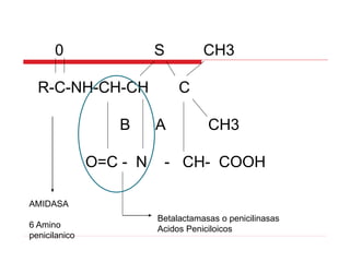 0 S CH3
R-C-NH-CH-CH C
B A CH3
O=C - N - CH- COOH
AMIDASA
6 Amino
penicilanico
Betalactamasas o penicilinasas
Acidos Peniciloicos
 